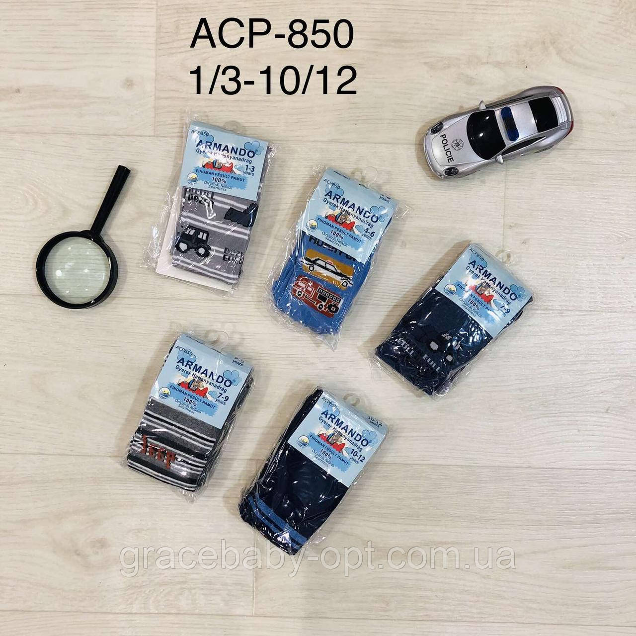 Колготки для хлопчика оптом, ARMANDO, 1/3-10/12 рр, № APC850