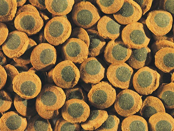 Корм Tetra Pleco Spirulina Wafers 100 грамів