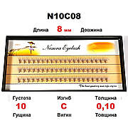 Вії пучкові Nesura Eyelash 8 мм, вигин С