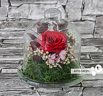Корпоративний подарунок на 8 березня: Стабілізована троянда в міні-колбі «Little passion»,G12