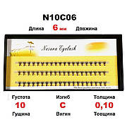 Вії пучкові Nesura Eyelash 6 мм, вигин С