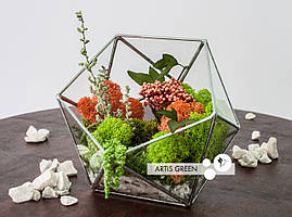 Подарунок чоловікові, хлопцю на День Закоханих: Флораріум з мохом і стабілізованими рослинами «Coral reef», G5