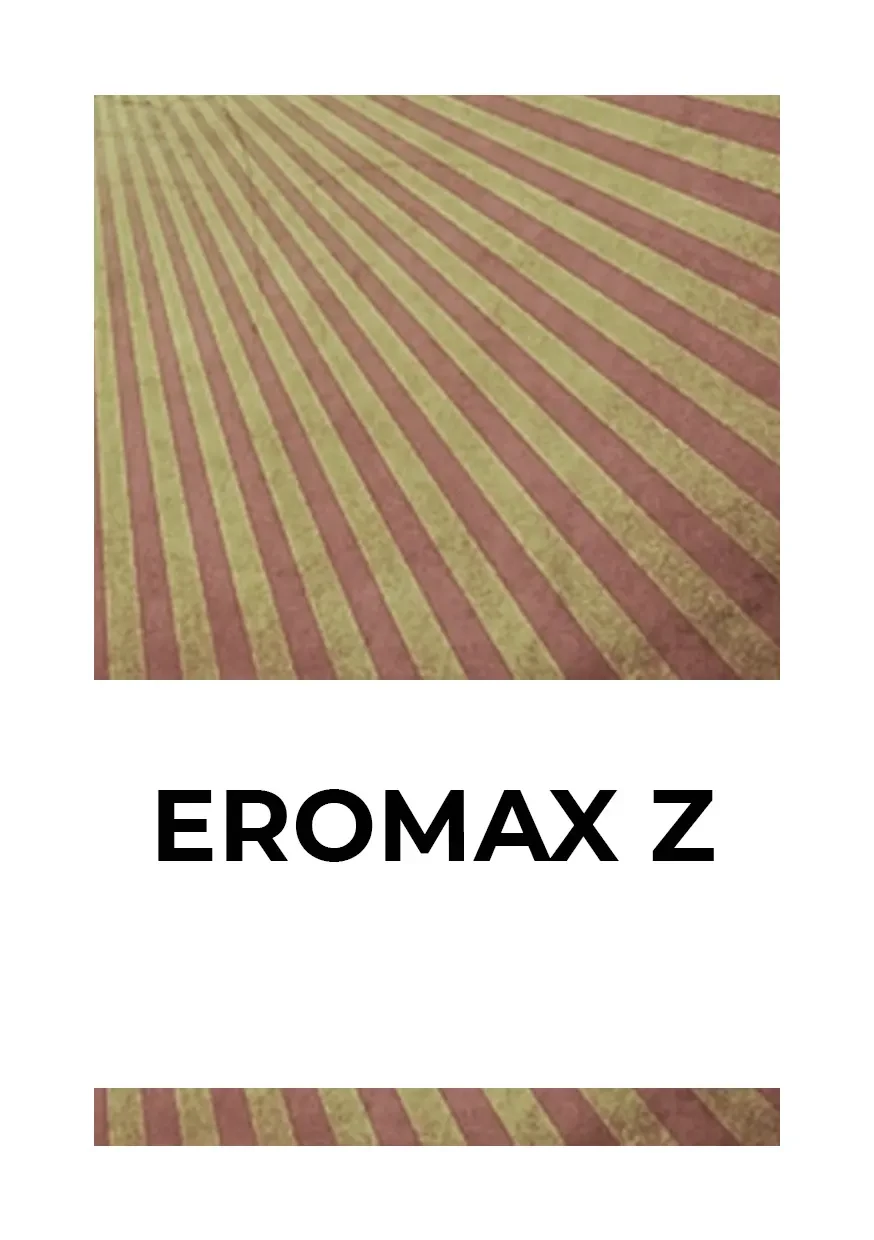 EroMax Z (ЕроМакс З)