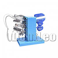 ОРГАНАЙЗЕР ДЛЯ ВІДБИТКОВИХ ЛОЖОК СИНІЙ