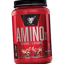 BCAA амінокислоти Всаа у порошку BSN Amino X 1000 г