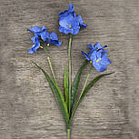 Гілка Амаріліс нарцис трійка заливка в горщик, 50 см синя, фото 2