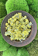 Цвет бессмертника, Цвіт безсмерника, Цмин 1кг, Helichrysum arenarium