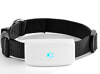 Ошейник GPS-трекер для собак и кошек (GPS Pet Tracker) TKSTAR TK911