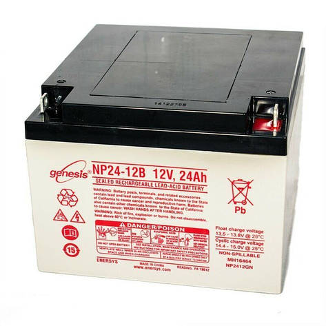 Батарея акумуляторна Genesis® NP24-12 12V 24Ah (12В 24Ач), фото 1