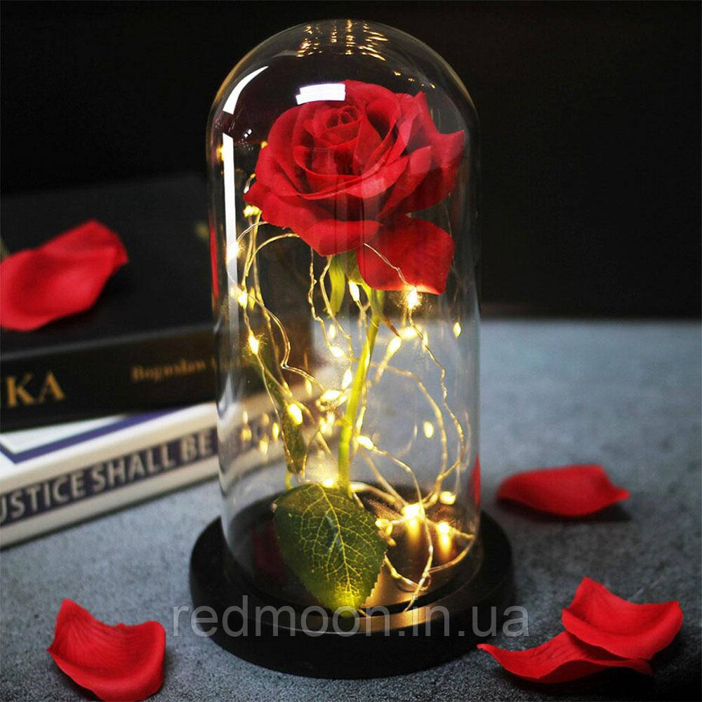 Троянда в колбі 20см з LED підсвічуванням, Червона / Квітка-нічник вічна троянда / Троянда в колбі на дерев'яній підставці