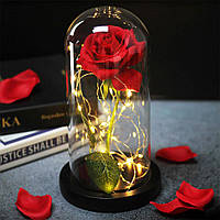 Троянда в колбі 20см з LED підсвічуванням, Червона / Квітка-нічник вічна троянда / Троянда в колбі на дерев'яній підставці