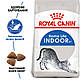 Акція! Корм для котів Royal Canin Indoor 4 кг + Наповнювач Catsan 5 л, фото 2