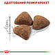 Сухий корм Royal Canin Indoor (Роял канін Індор)  для дорослих кішок, 10 КГ, фото 5