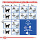 Акція! Сухий корм Royal Canin Indoor для домашніх котів 1.6 кг + 400 гр у подарунок, фото 6