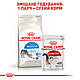 Сухий корм Royal Canin Indoor (Роял канін Індор)  для дорослих кішок, 10 КГ, фото 7