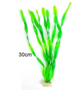 Водорості для акваріума 30 см, штучна рослинність Валлінерія