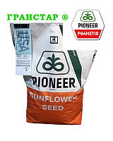 П64ГЕ118 Pioneer (под Гранстар), семена подсолнечника P64HE118 Пионер
