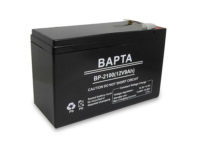 Акумуляторна батарея BAPTA 12 В 9,0 А·год BP-2100 8547