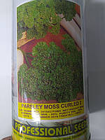 Петрушка кучерявая Moss curled 2 (0,5 кг.), Hortus