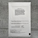 Огірок Октопус F1 100 шт бджолозапильний насіння пакетоване Агропак, фото 2