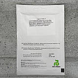 Огірок Пучіні F1 100 шт партенокарпічний насіння пакетоване Агропак, фото 2