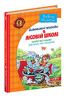 Дивовижні пригоди у лісовій школі Всеволод Нестайко В5 "Секрет Васі Кицина"/Школа/(10)