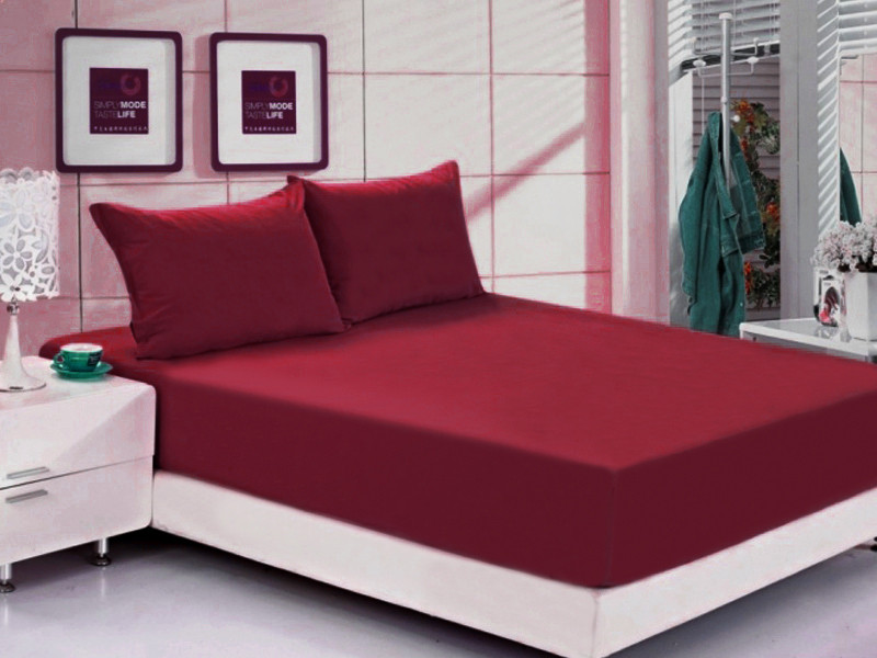 Постільна білизна Ранфорс Літній РЛ316 Leleka-Textile 160х200+25 бордовий