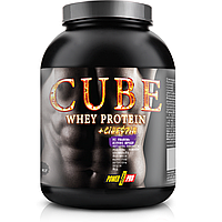 Протеїн Whey Protein Cube Power Pro 1 кг Лісові ягоди