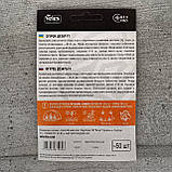 Огірок Цезар F1 50 шт інкрустоване бджолозапильний насіння Велес, фото 2