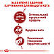 АКЦІЯ! Сухий корм Royal Canin FIT 32 (Роял Канін Фіт) для кішок, 8 кг + 2 кг корму у подарунок!, фото 5