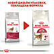 Сухий корм Royal Canin Fit 32 (Роял Канін Фіт) для дорослих кішок, 400 гр, фото 7