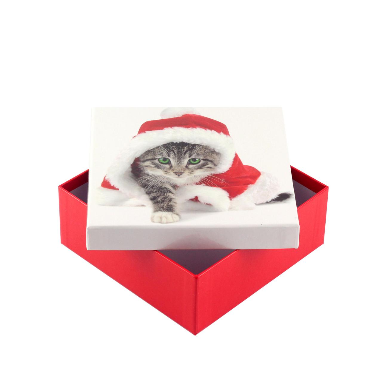 Коробка подарункова ООТВ Santa Cat 16 х 16 х 8 см