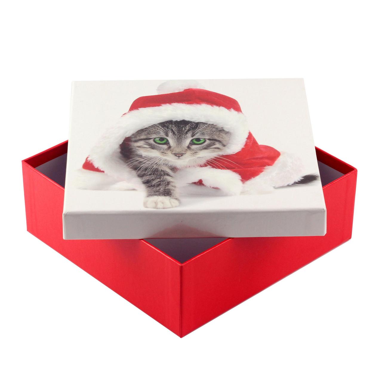 Коробка подарункова ООТВ Santa Cat 22 х 22 х 8 см, фото 1