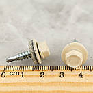 Саморіз 4.8х19 RAL 1015 для кріплення металевих листів внахлест WSBP Wkret-Met (250 шт/уп), фото 5