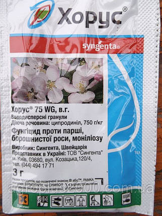 Фунгіцид Хорус 3 г Syngenta, фото 1