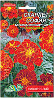 Насіння чорнобривці Скарлет Софія Флора маркет