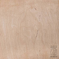 Шпон Ольха 0.55 мм (1 сорт)