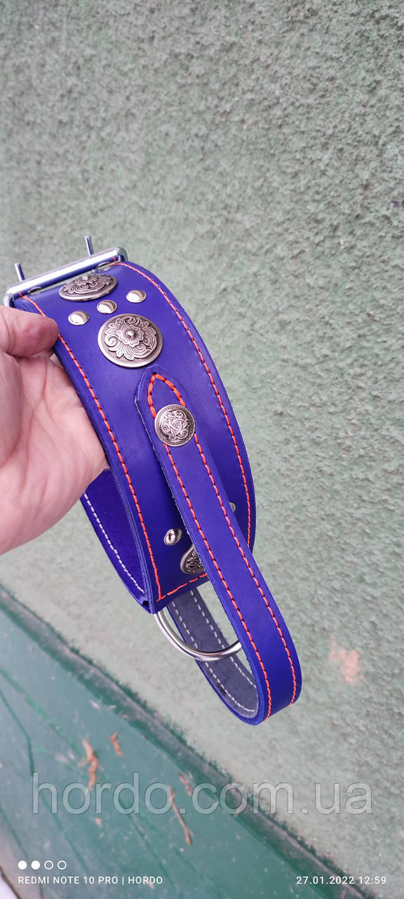 Фіолетовий ошийник, фото 1