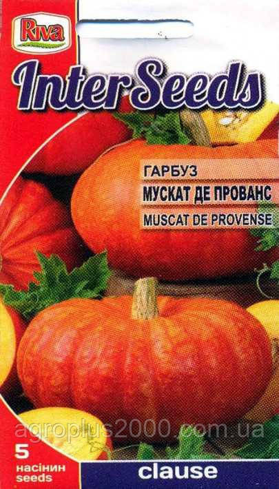 Насіння Гарбуз столове Мускат де Прованс 5 сем Riva