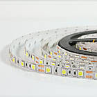 Світлодіодна стрічка 24V OEM ST-24-5050-60-NW-20-V2 нейтральний білий, негерметична, 1м, фото 3