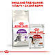 Акція! Сухий корм Royal Canin Sensible 33 для котів 1.6 кг + 400 гр у подарунок, фото 6