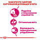 Сухий корм Royal Canin Exigent Savour (Роял Канін Сейвор Ексіджент) для дорослих кішок, 4 КГ, фото 3
