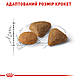 Акція! Сухий корм Royal Canin Exigent Savour для дорослих кішок, 3.2 кг + 800 кг у подарунок!, фото 4