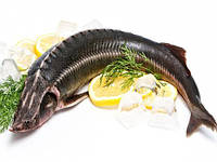 Осетер аквакультура, заморожений, навішування 5-7 кг