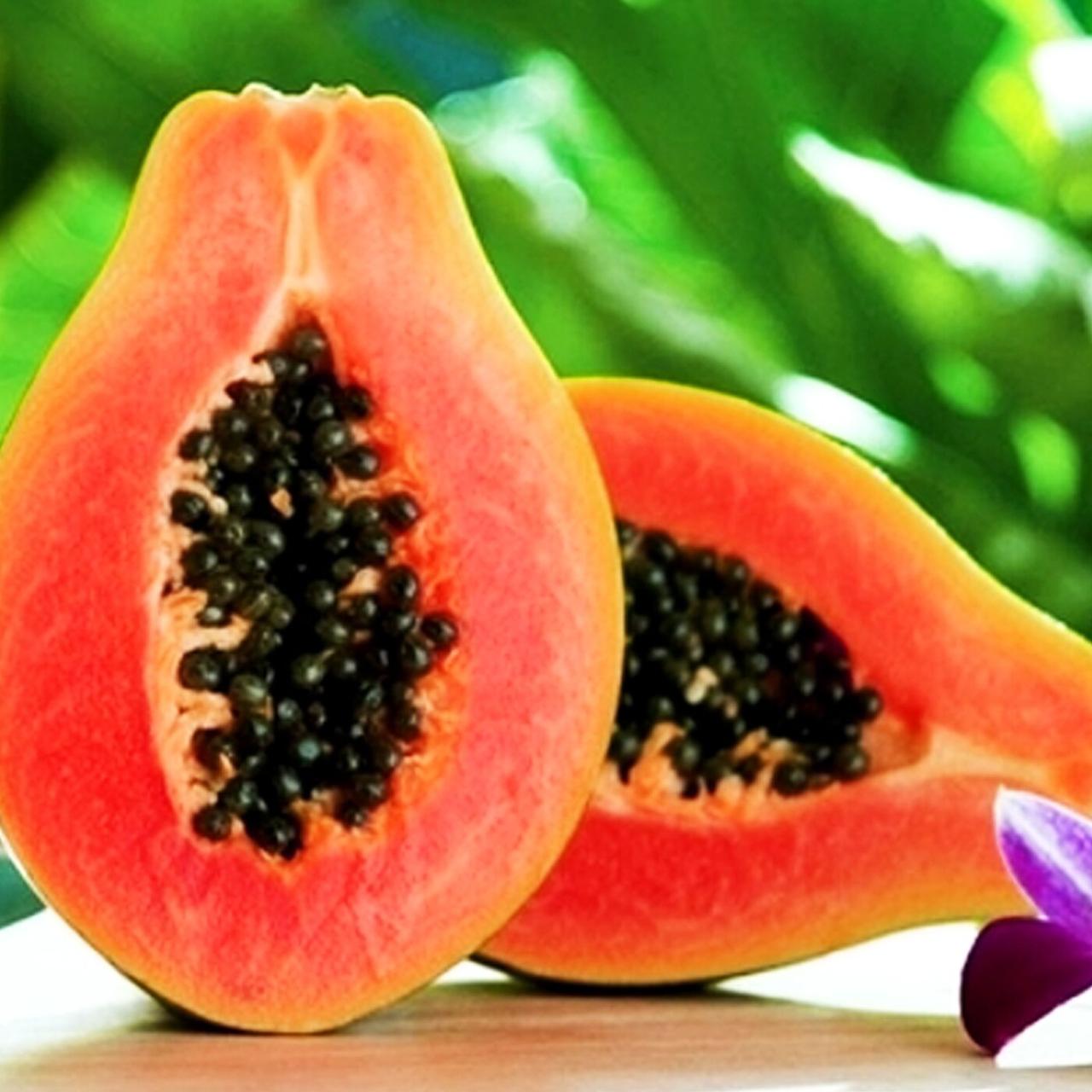 Саджанці Папайя (динне дерево)(Carica papaya)