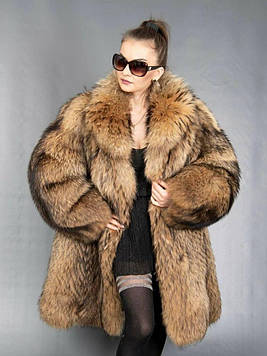 Шуба з хутра єнота з шалевим коміром