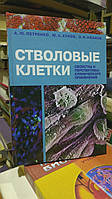 Петренко А.Ю., Хунов Ю.А., Иванов Э.Н. Стволовые клетки. Свойства и перспективы клинического применения.