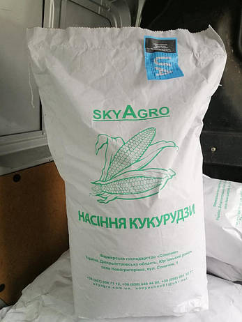 Насіння кукурудзи ДБ Хотин ФАО 280, фото 2
