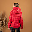 Жіноча осіння  куртка  молодіжна 44,46 червоний, фото 3