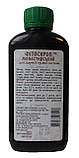 Фітосироп Монастирський для здоров'я травної системи 200 мл Фітория, фото 2